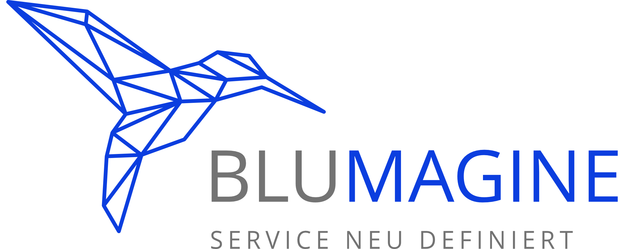 Blumagine logo